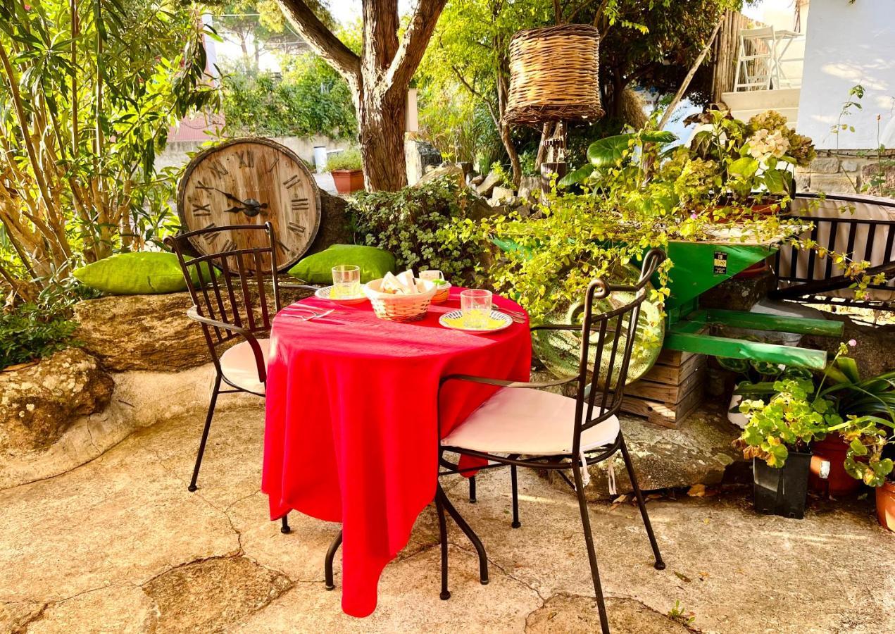 Vign'Alva Bed & Breakfast Castelsardo Dış mekan fotoğraf